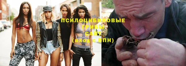 спиды Аркадак